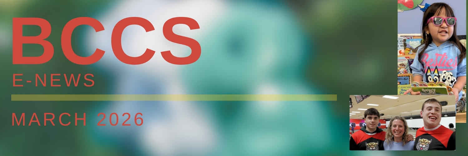 BCCS eNews Header March 2026