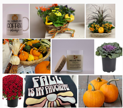 Big Tree Farm Fall Offerings