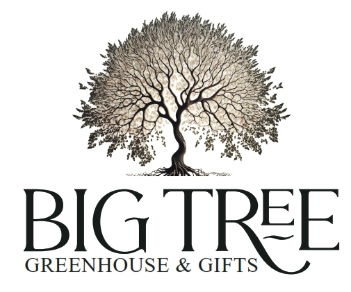 Big Tree Logo.jpg