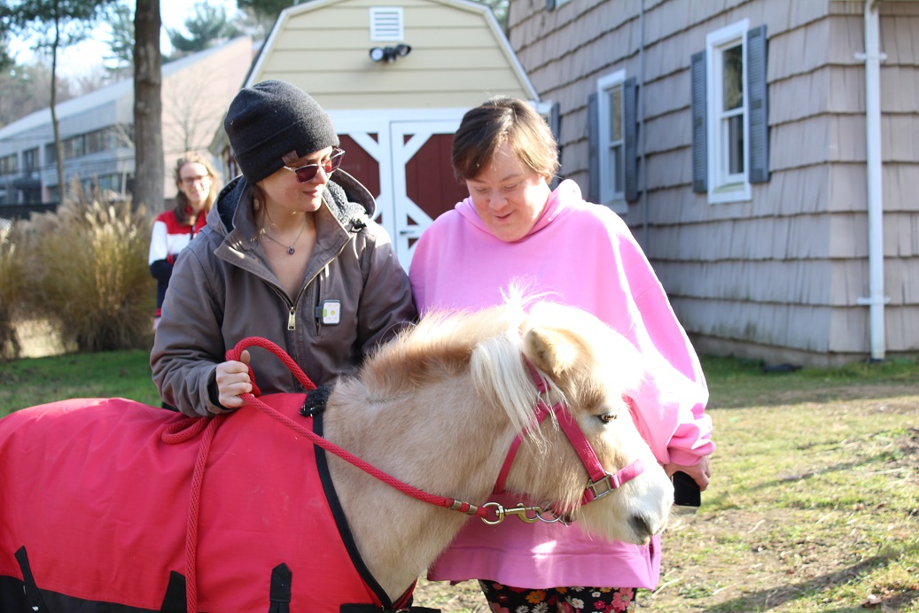 Horse 101 Dec