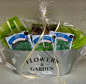 Spring Seed Starting Kit