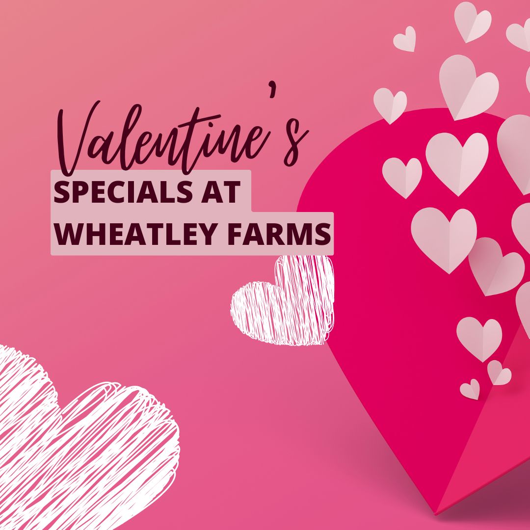 Valentine's specials at Wheatley Farms