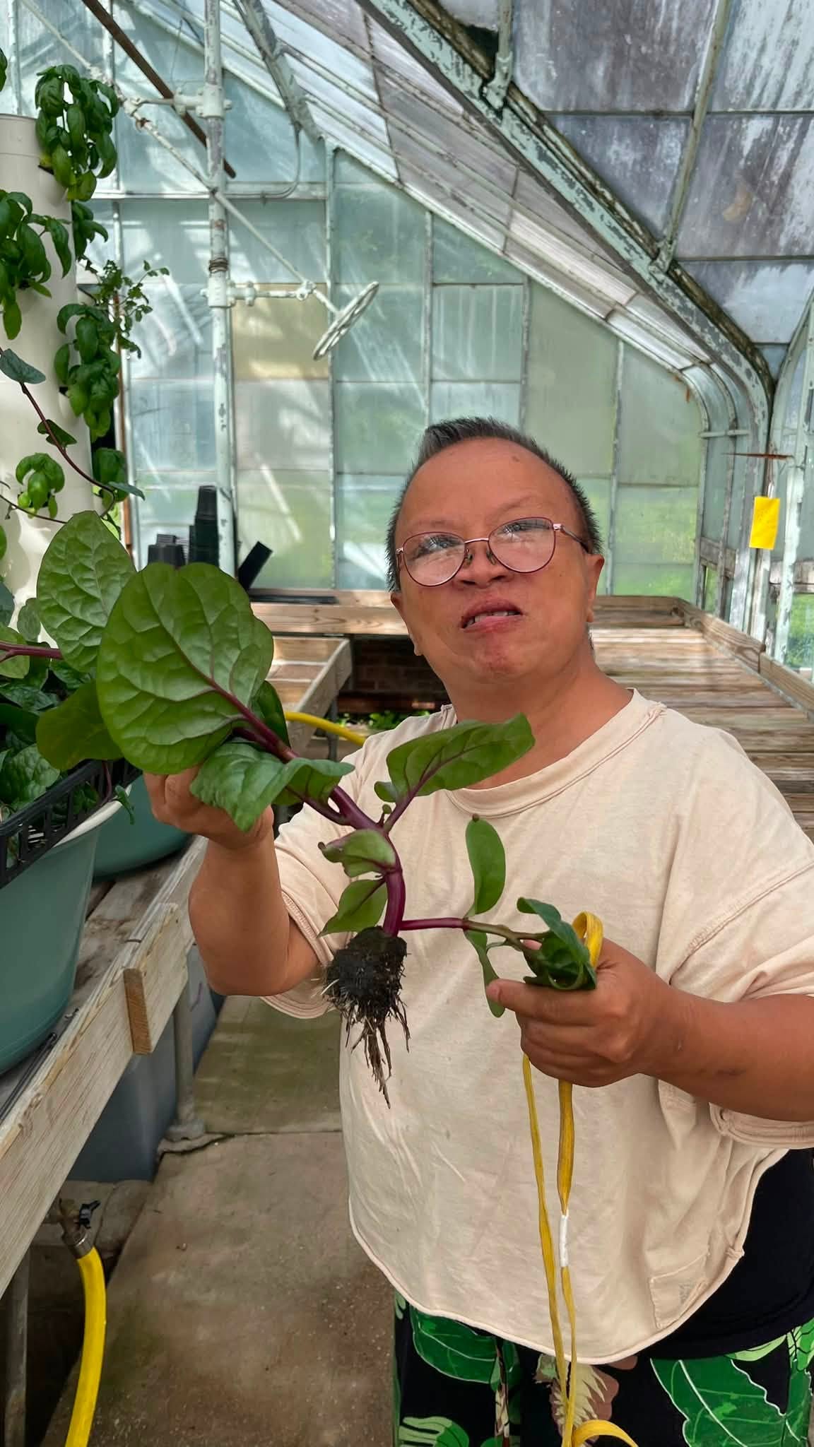 Whealtey Farms August 2026 E News